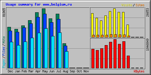 Usage summary for www.belgium.ru