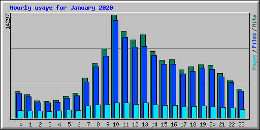 Hourly usage for January 2020