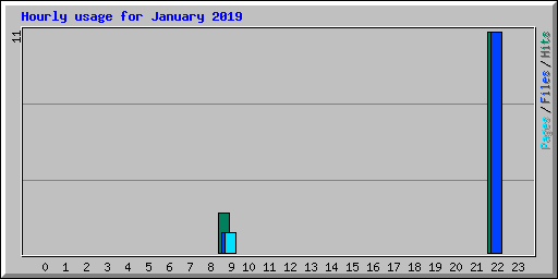 Hourly usage for January 2019