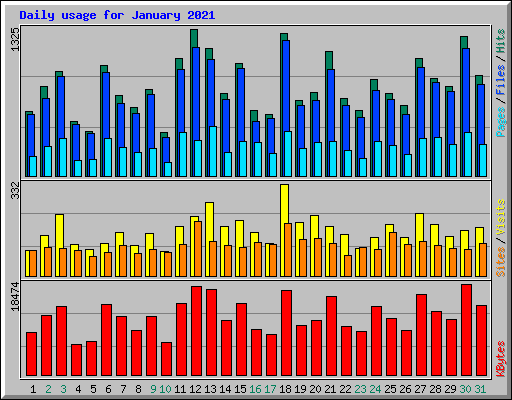 Daily usage for January 2021