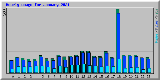 Hourly usage for January 2021