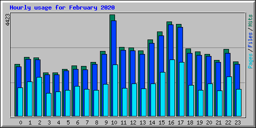 Hourly usage for February 2020