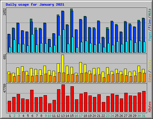 Daily usage for January 2021