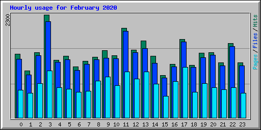Hourly usage for February 2020