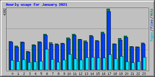 Hourly usage for January 2021