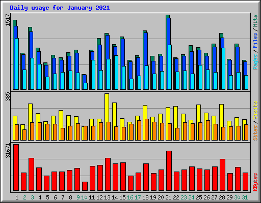 Daily usage for January 2021