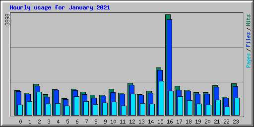 Hourly usage for January 2021