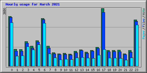 Hourly usage for March 2021