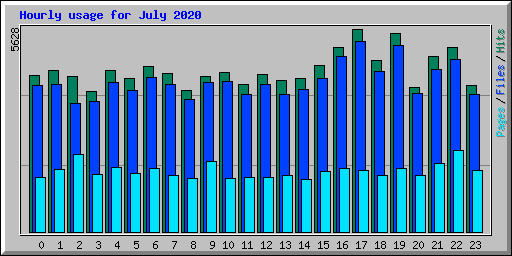 Hourly usage for July 2020