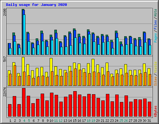 Daily usage for January 2020