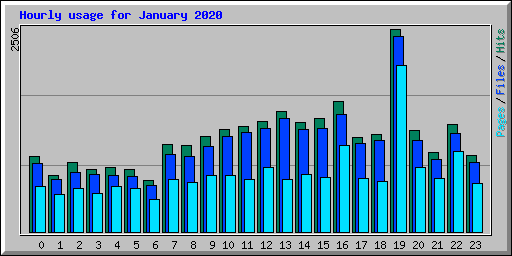Hourly usage for January 2020