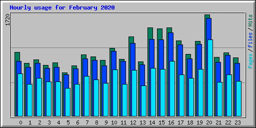 Hourly usage for February 2020