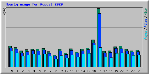 Hourly usage for August 2020