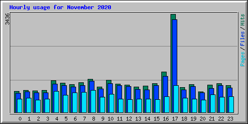 Hourly usage for November 2020
