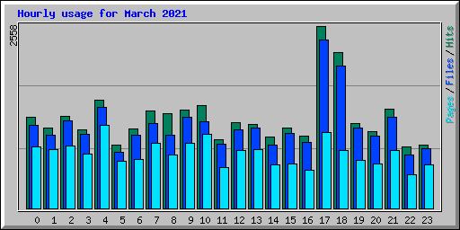 Hourly usage for March 2021