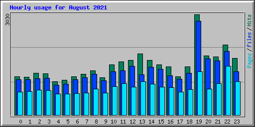 Hourly usage for August 2021