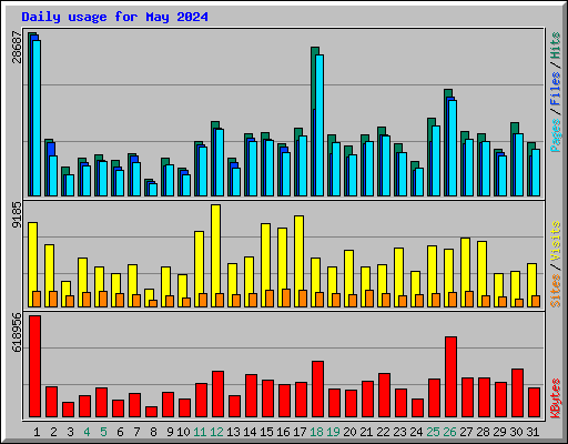 Daily usage for May 2024