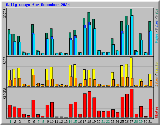 Daily usage for December 2024