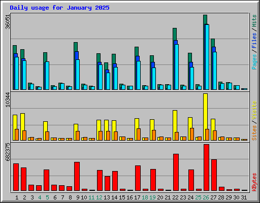 Daily usage for January 2025