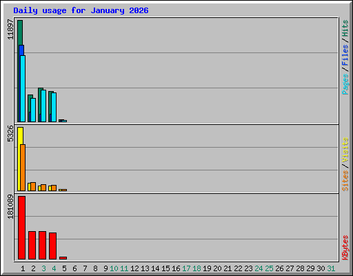 Daily usage for January 2026