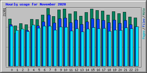 Hourly usage for November 2020