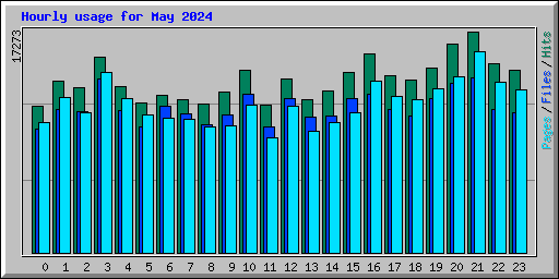 Hourly usage for May 2024