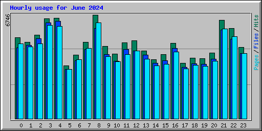 Hourly usage for June 2024