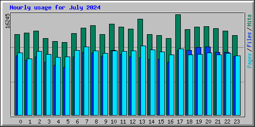 Hourly usage for July 2024