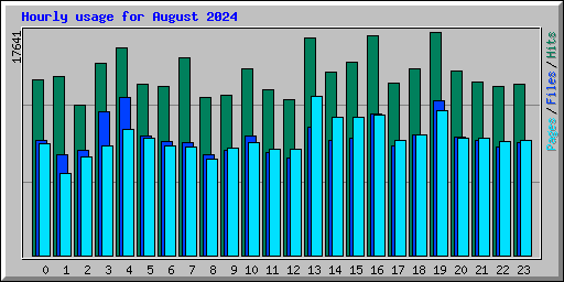 Hourly usage for August 2024