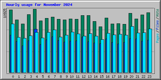 Hourly usage for November 2024