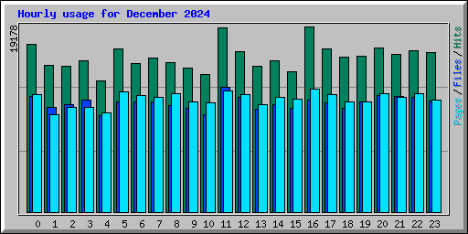 Hourly usage for December 2024