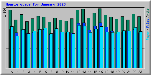 Hourly usage for January 2025