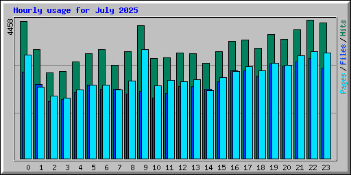 Hourly usage for July 2025