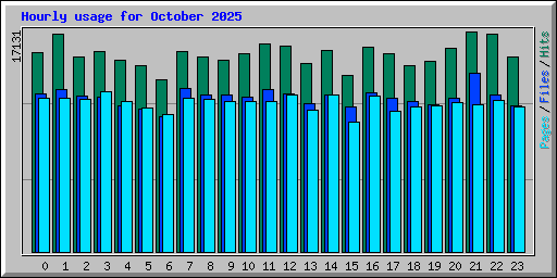 Hourly usage for October 2025