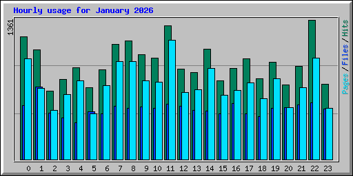 Hourly usage for January 2026