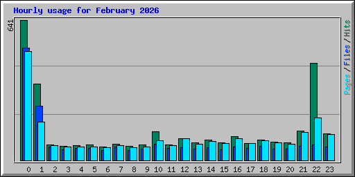 Hourly usage for February 2026