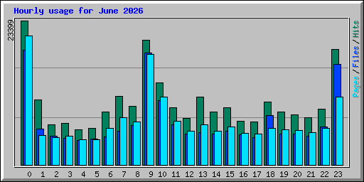 Hourly usage for June 2026