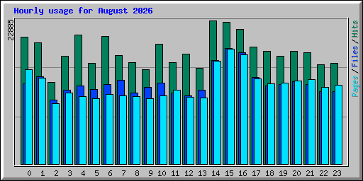 Hourly usage for August 2026