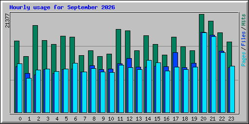 Hourly usage for September 2026