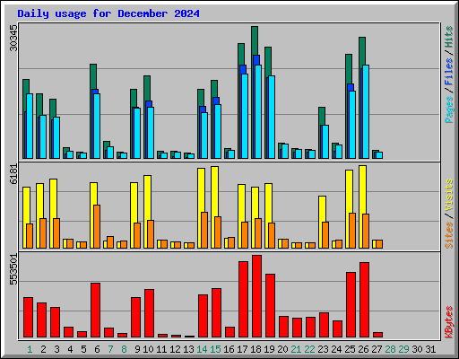 Daily usage for December 2024