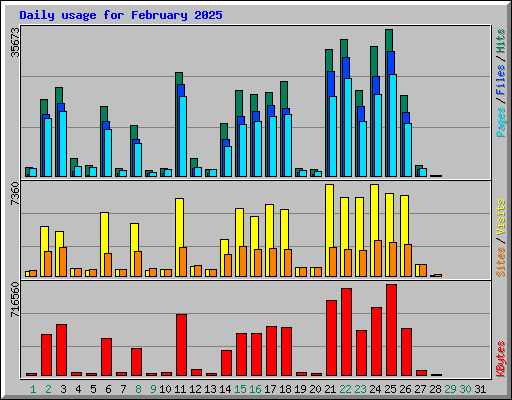 Daily usage for February 2025