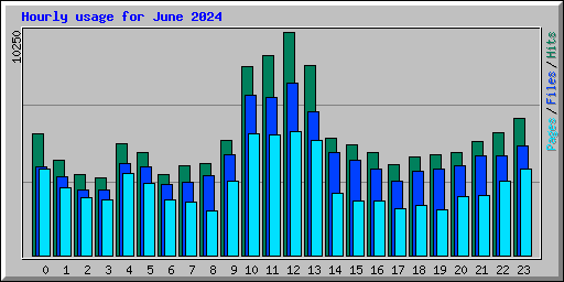 Hourly usage for June 2024