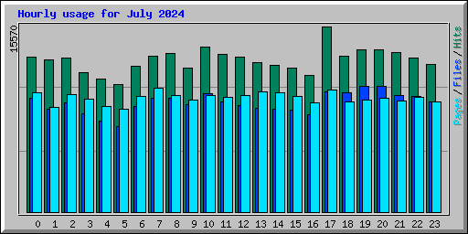 Hourly usage for July 2024