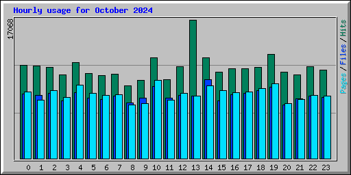 Hourly usage for October 2024