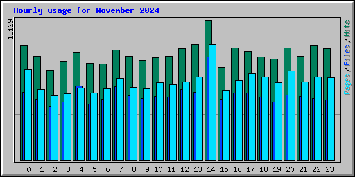 Hourly usage for November 2024