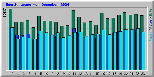 Hourly usage for December 2024