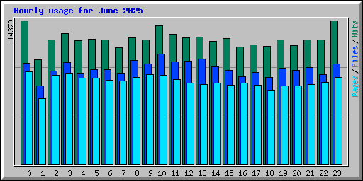 Hourly usage for June 2025