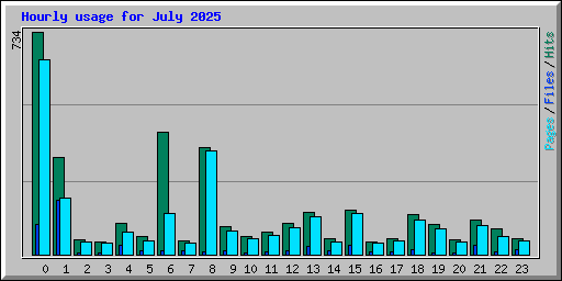 Hourly usage for July 2025