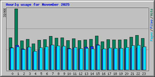 Hourly usage for November 2025
