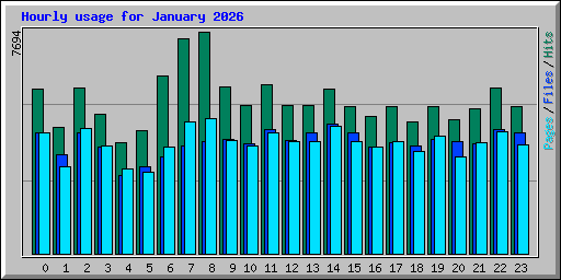 Hourly usage for January 2026